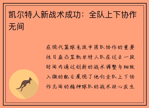 凯尔特人新战术成功：全队上下协作无间